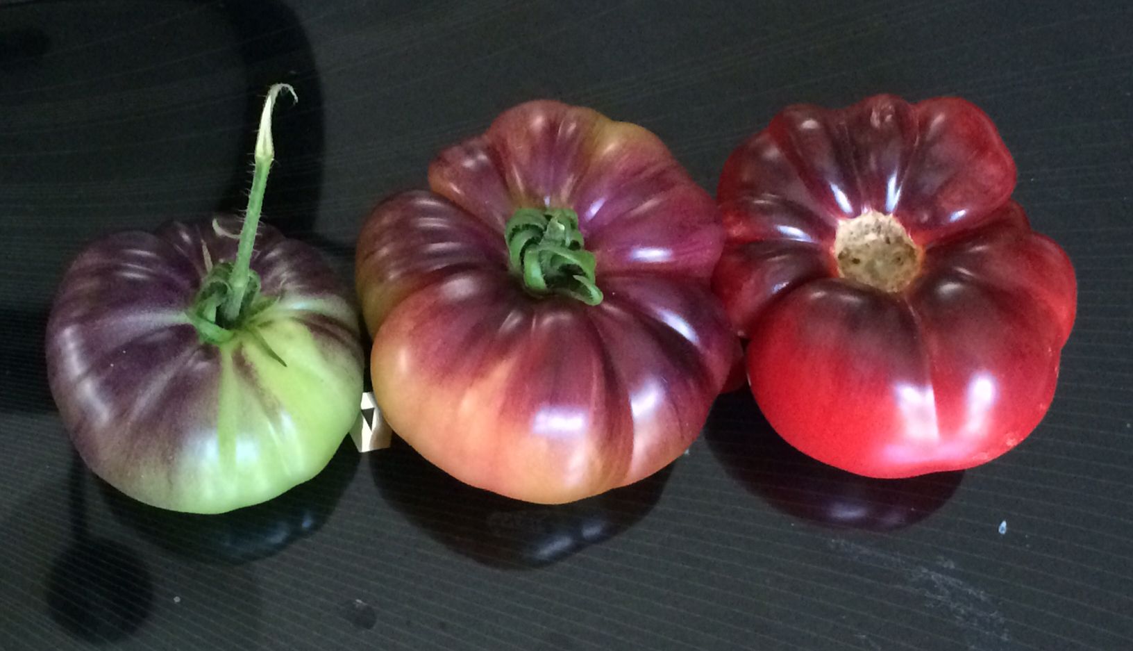 Master Gardener, 'crazy tomato lady' offers tips on best new