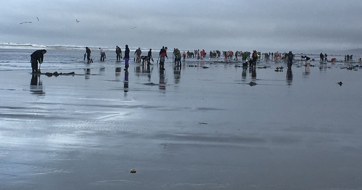 Stormy weather poses danger for Friday razor clam dig at Twin Harbors