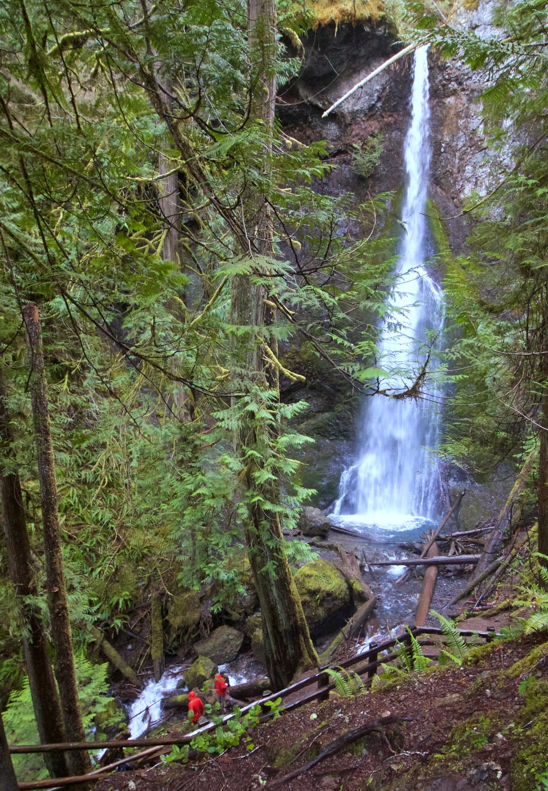 Lake crescent 2025 hiking trails