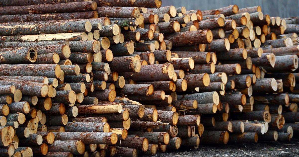 The long Canadian lumber dispute — with a new twist | The Seattle Times