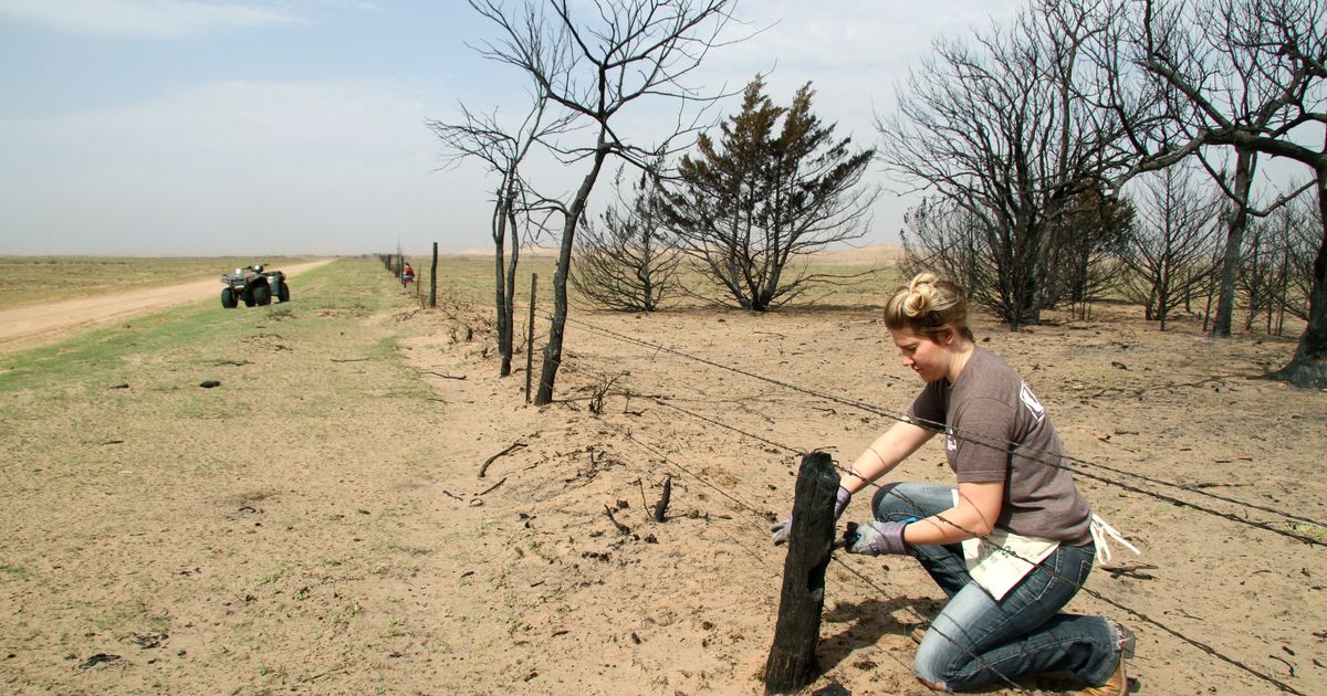 Some high plains farmers struggling after fires, drought | The Seattle ...