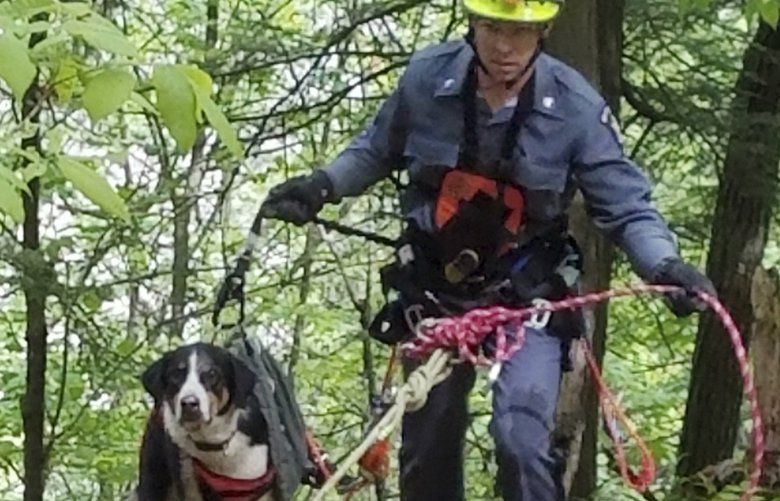 Dog stuck on 400-foot cliff rescued by cop using ropes | The Seattle Times