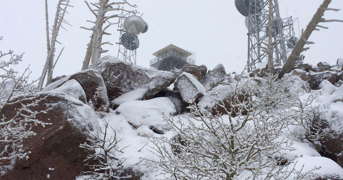 Man seeking free pizza rescued from snowy Arizona mountain | The ...
