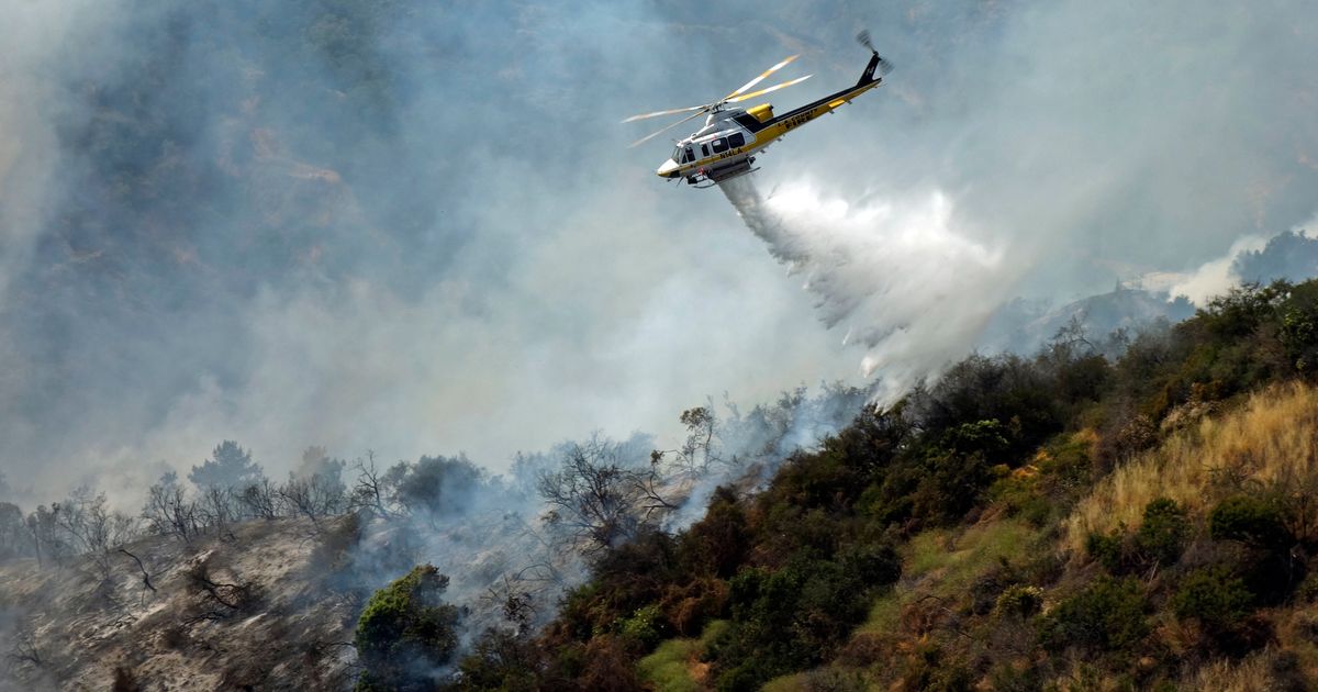 Brush fire on Los Angeles hillside sparked by weed whacker | The ...