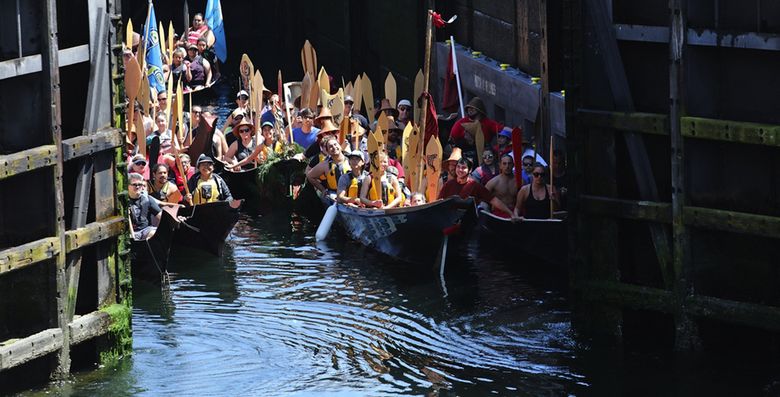Canoe families representing local tribes exit the small lock on May 21 on a paddle from the University of Washington to Golden Gardens. (Steve Ringman / The Seattle Times)