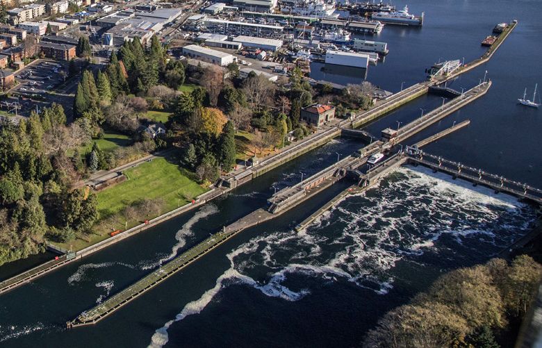Wed., December 7, 2016.    Seattle‚Äôs Ballard neighborhood with the Ballard Locks.
