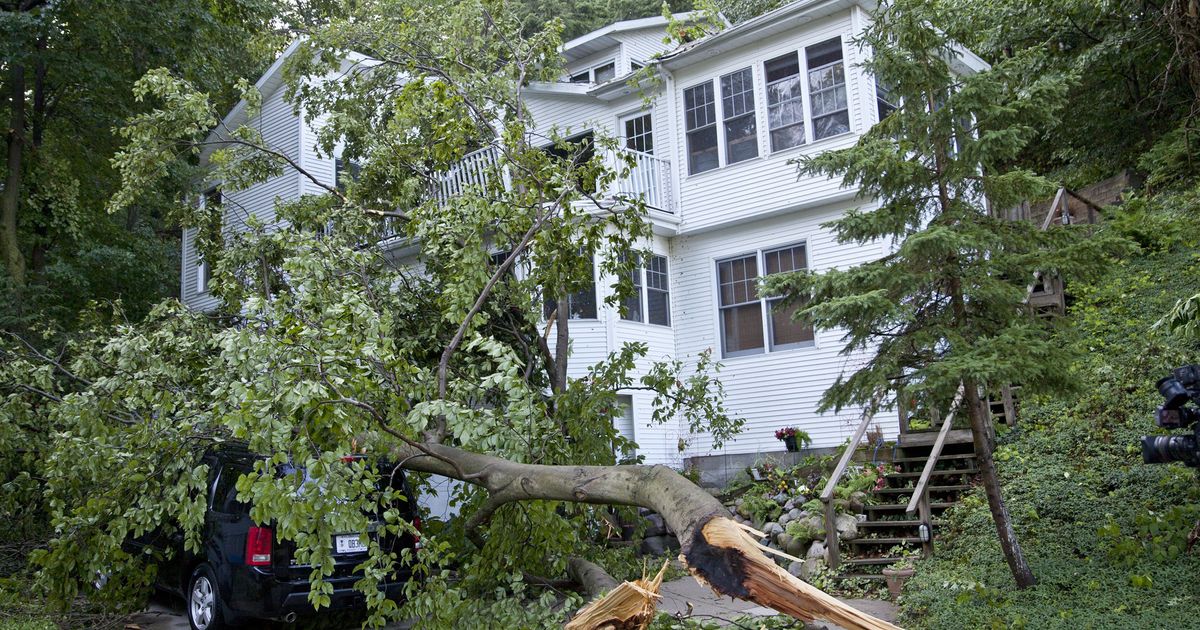 1 dead after tree falls on home amid severe Michigan storms | The ...
