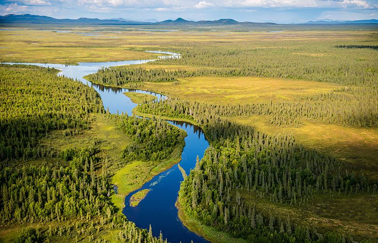 The peril of mining the pristine headwaters of Alaska’s Bristol Bay ...