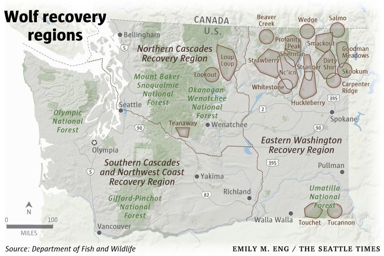 Stop The Senseless Killing Of Kettle River Range Wolves in Washington State