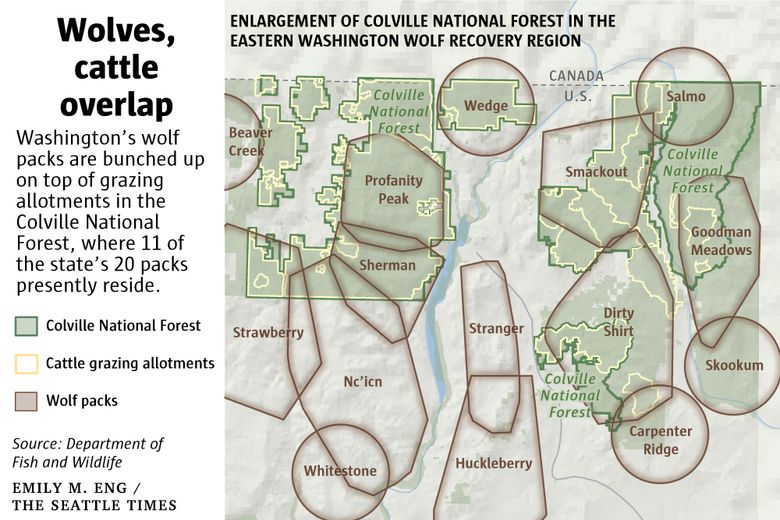 Stop The Senseless Killing Of Kettle River Range Wolves in Washington State