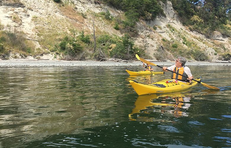 Stay close to shore for the best wildlife viewing in Admiralty Inlet.