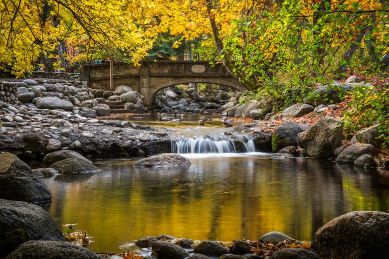 are dogs allowed in lithia park in ashland oregon