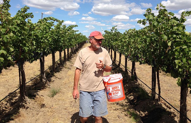 Klipsun Vineyards is still growing some of the state’s best wine grapes