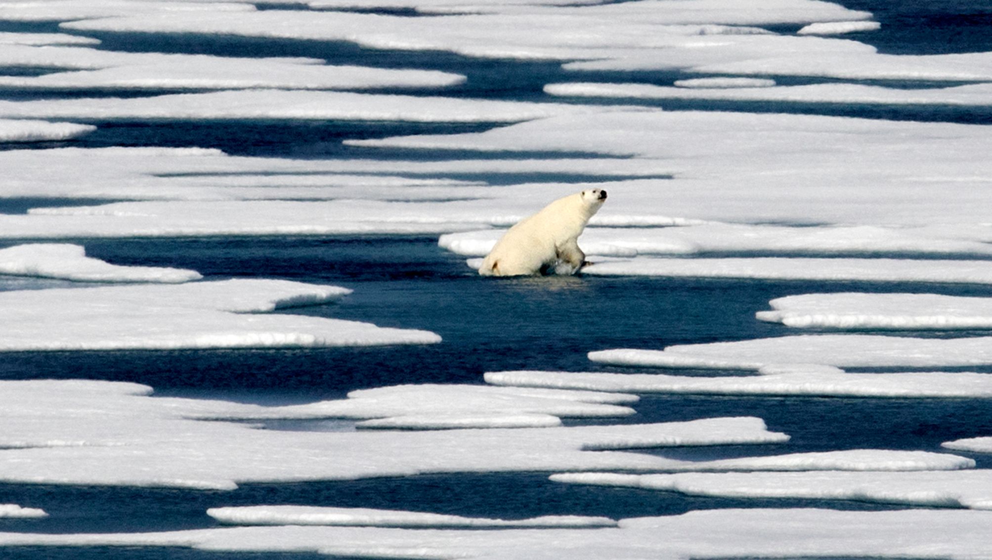 Warming Arctic spurs battles for riches, shipping routes | The