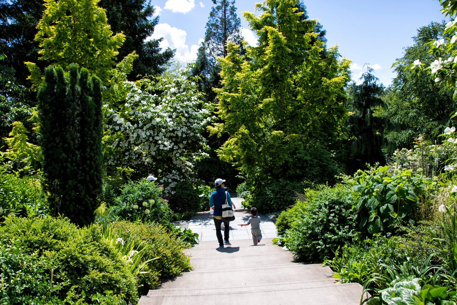 Bellevue Botanical Garden Celebrates 25