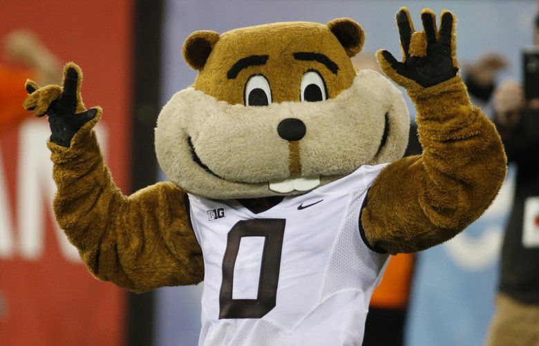 Goldy Gopher smiles, then steamrolls youth footballer | The Seattle Times