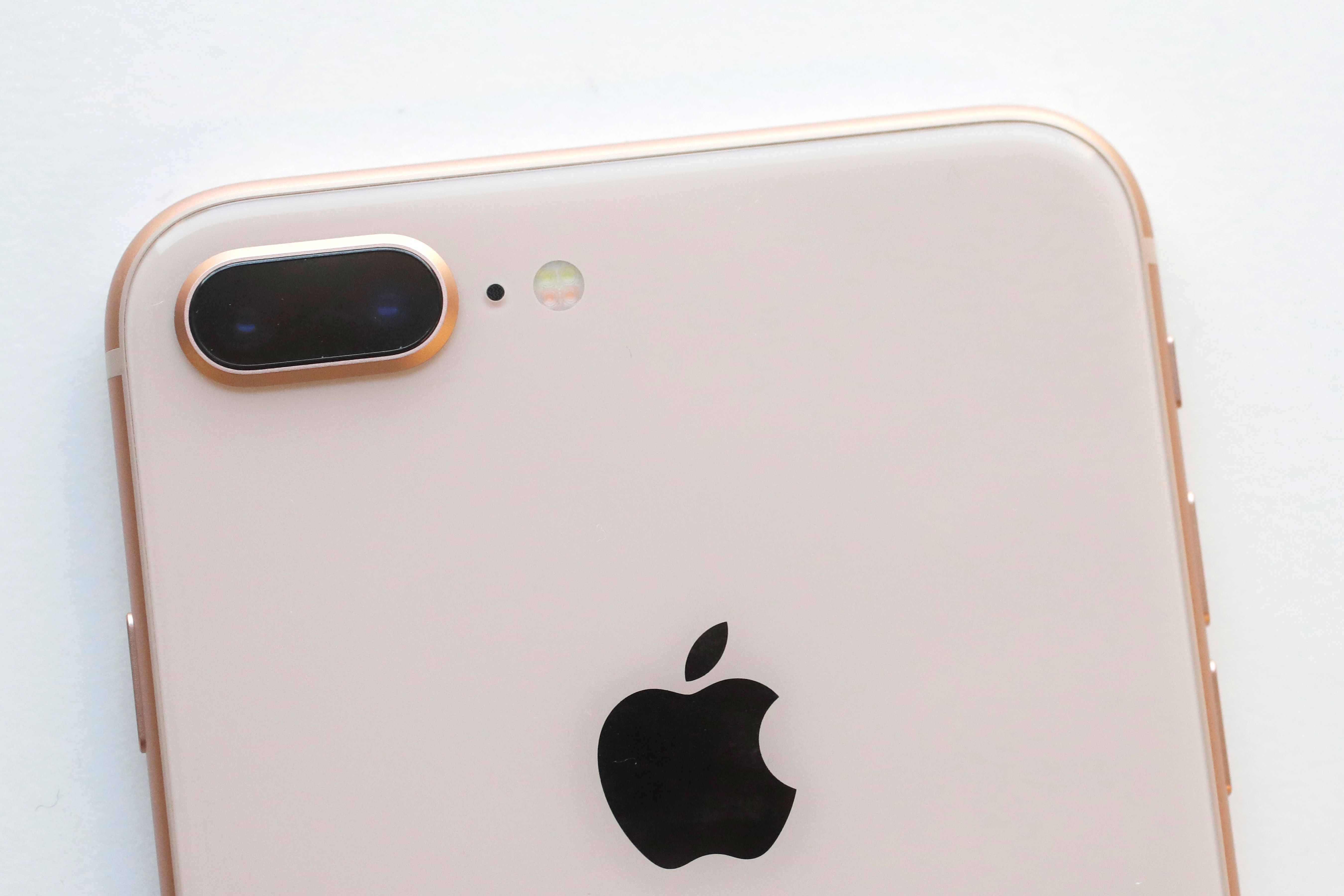 Apple - 【ジャッキー】iPhone8 516RmdgAcCL._UF350,350_QL80_.jpg