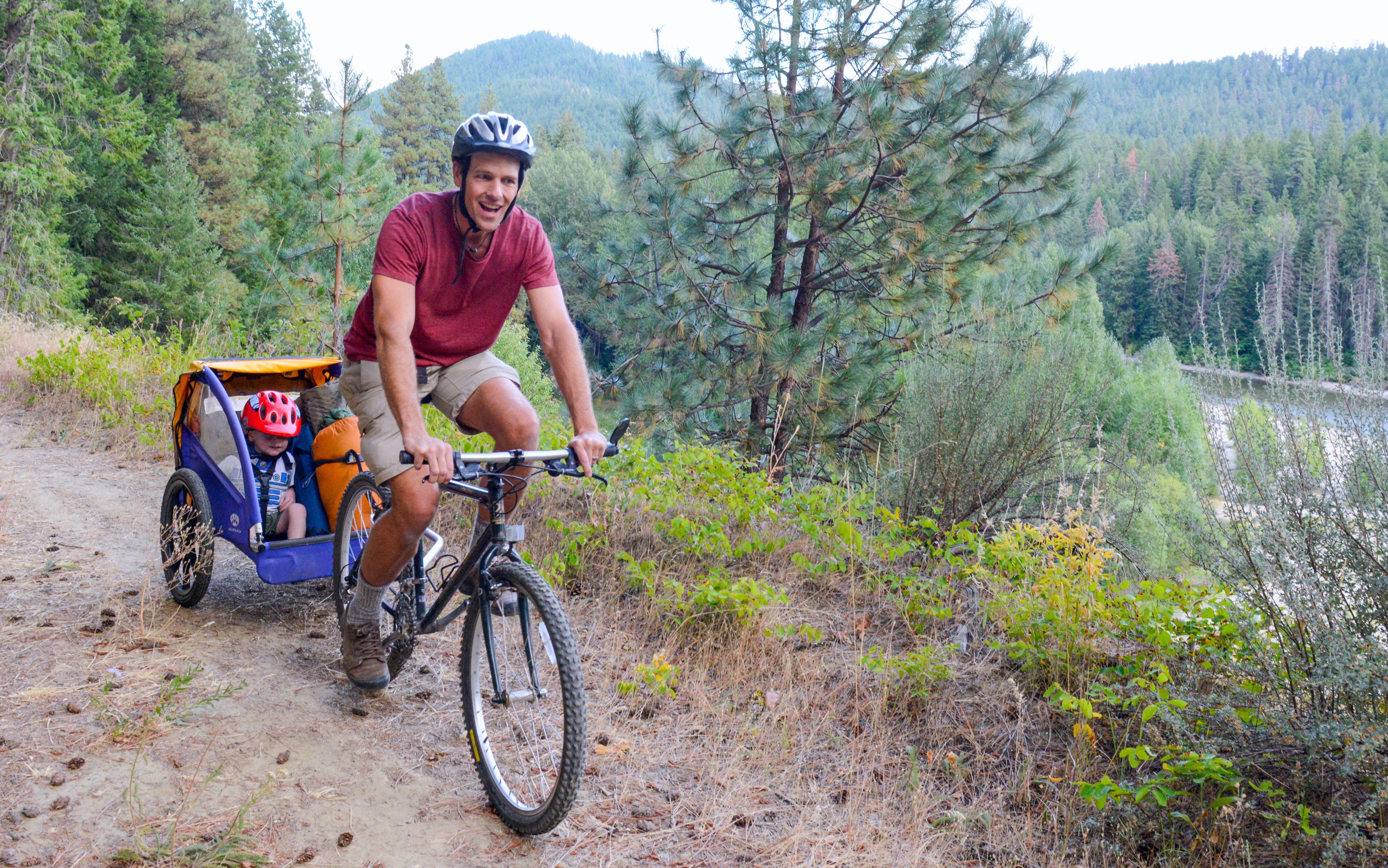 Weehoo bike sales trailer used craigslist