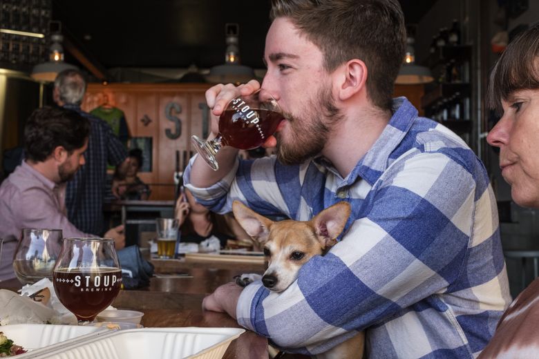 are dogs allowed in restaurants in washington state