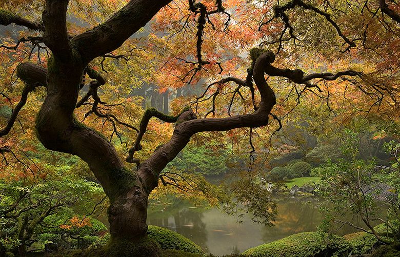 756916b0-98ce-11e7-a238-