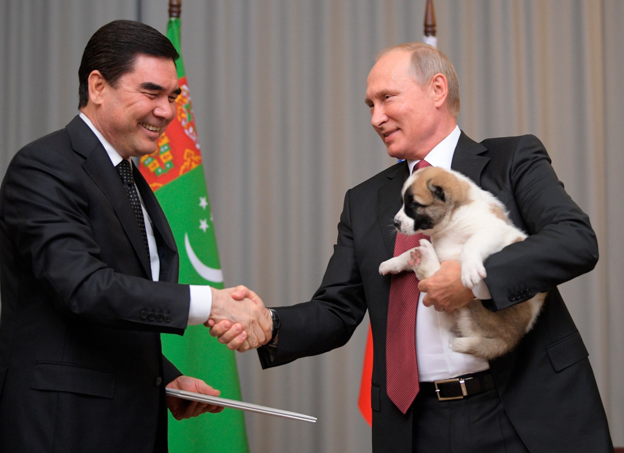 Президент Туркменистана алабай