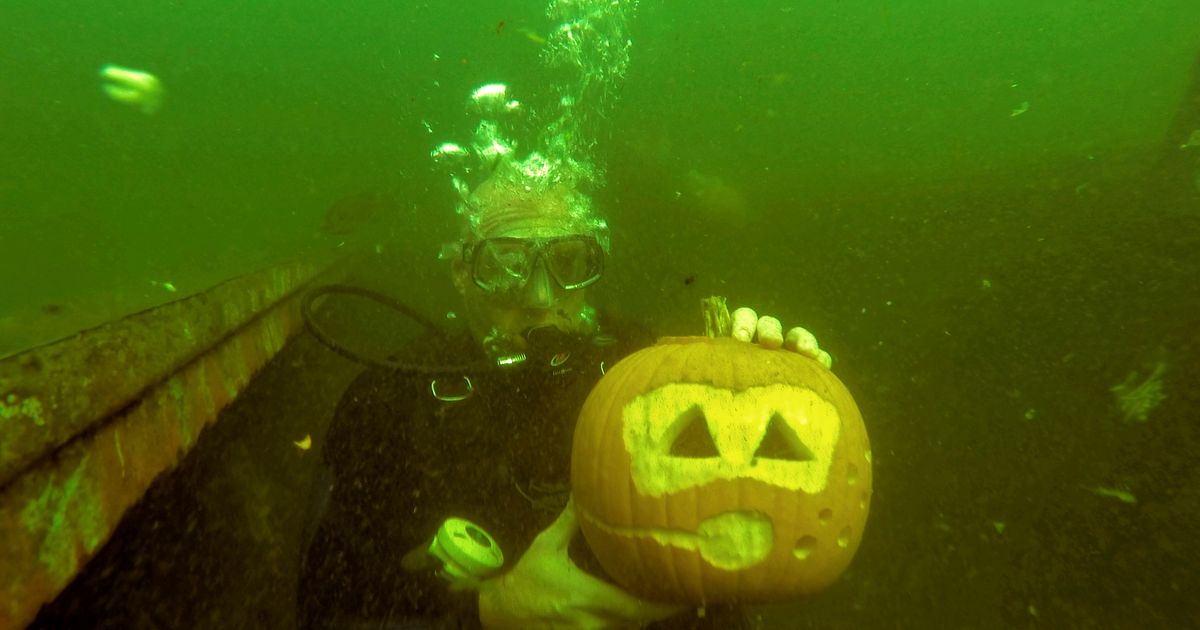 Scuba service leads underwater pumpkin carving event The Seattle Times