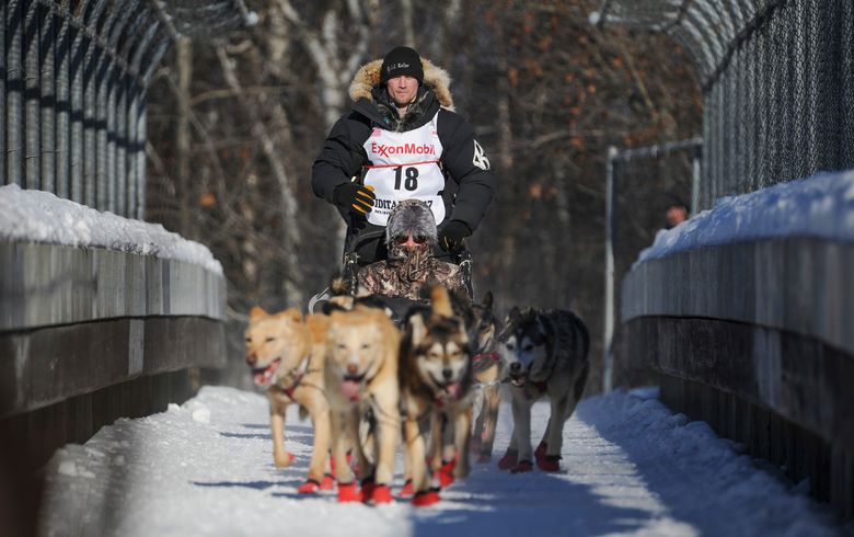 how many dogs have died in the iditarod 2018
