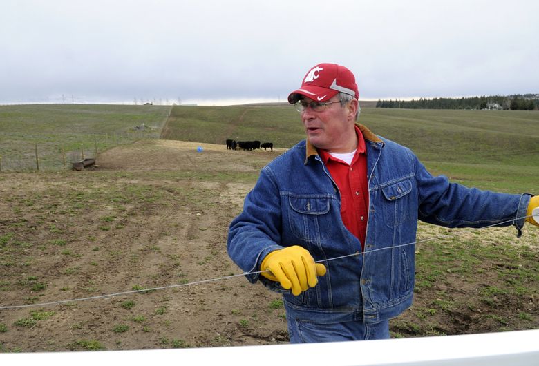 Bill Moos, who grew up as a rancher’s kid in Edwal, Washington, hooks up electric fencing at his own operation Friday, Apr. 2, 2010 near Valleyford, Washington, south of Spokane. (Jesse Tinsley / The Spokesman Review)
