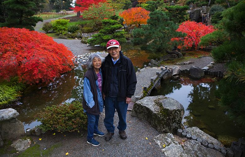 A Nisei garden of memories in SeaTac, and a soldier’s blood spilled in ...