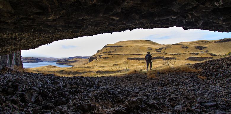 Archaeologist Brent Hicks peers from the opening of Porcupine Cave, an ancient native site in lower Palouse Canyon, toward the Snake River below. The cave is part of a complex of sites near Marmes Rockshelter in southeastern Washington, where the discovery in the 1960s of human bones dated to 10,000 years created a scramble for preservation before it was flooded by waters from the Lower Monumental Dam, 20 miles downstream. New debate about breaching the dams has renewed interest in archaeological exploration of the Snake River drainage. (Ron Judd/The Seattle Times)