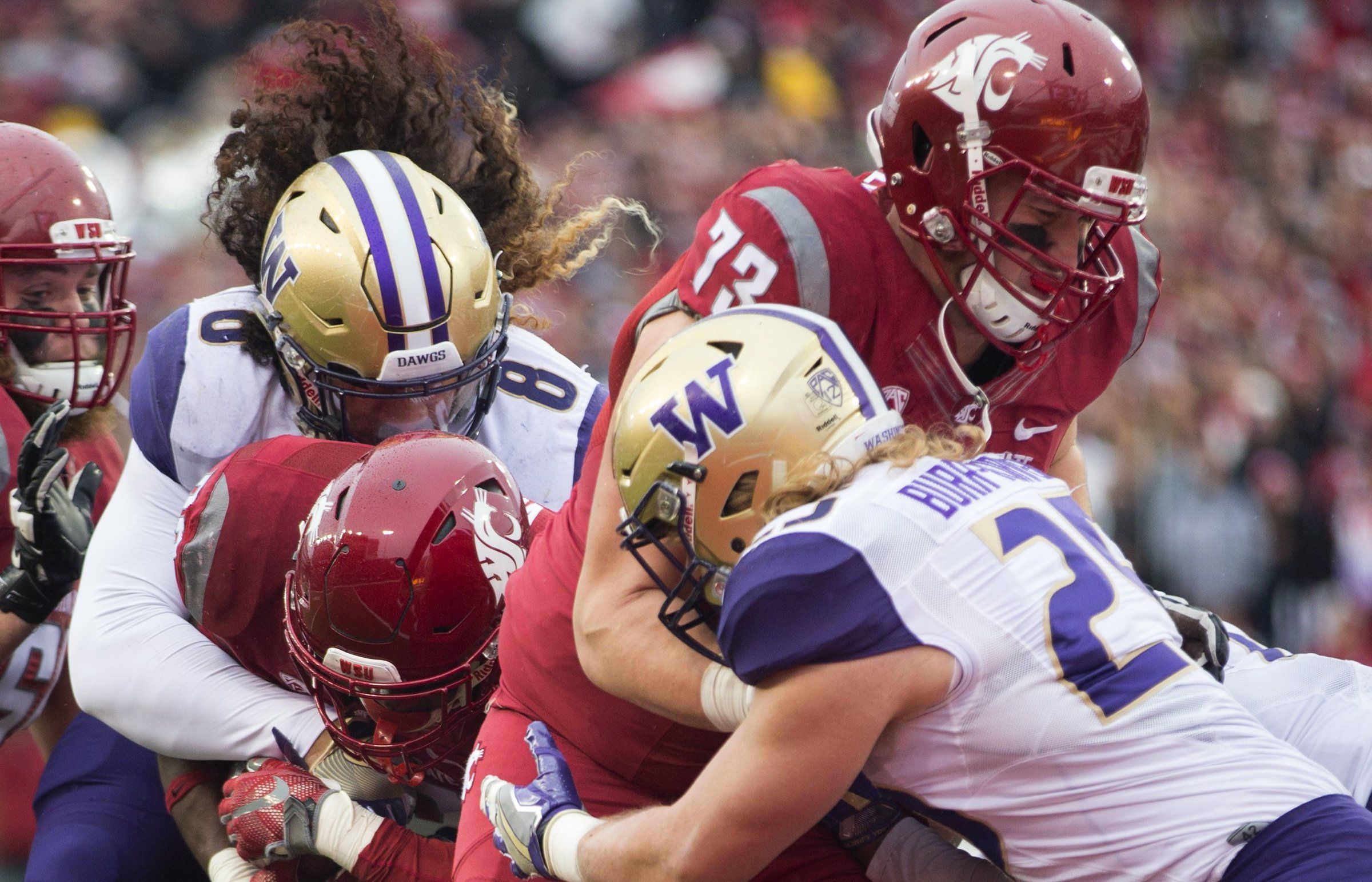 Seattle-area Husky and Cougar fans 