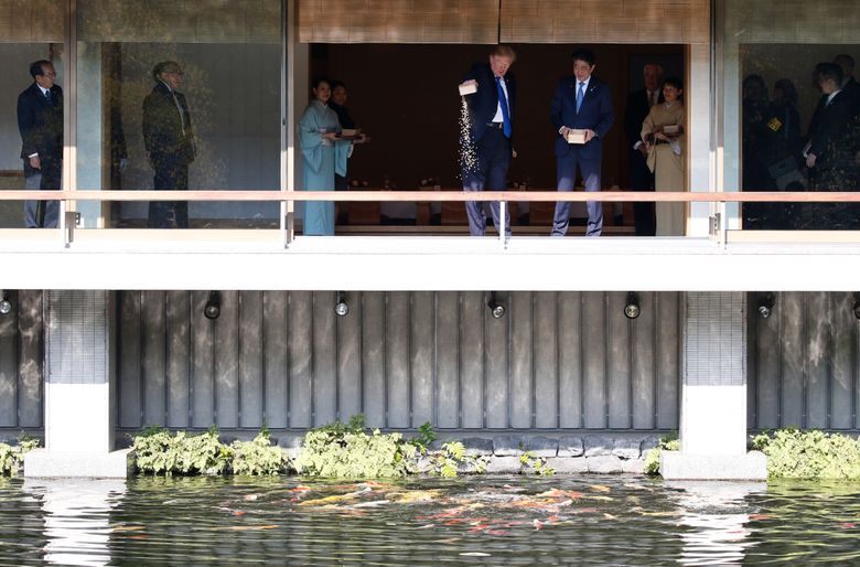 No diet for these carp as Trump goes all-in on fish food | The Seattle Times