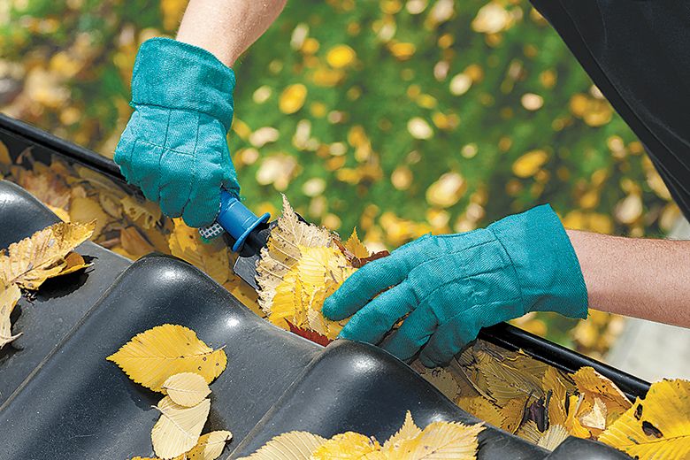 Fall Home Maintenance Tasks Now Can Prevent Crises Later The Seattle   Clean Gutters Tzr 