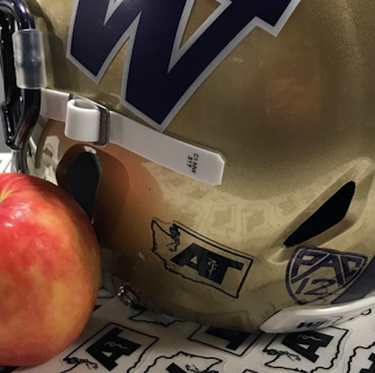 October 16, 2021: The Washington Huskies wore their throwback uniform  featuring the retro Huskies logo on the helmet during a game between the  UCLA Bruins and Washington Huskies at Husky Stadium in