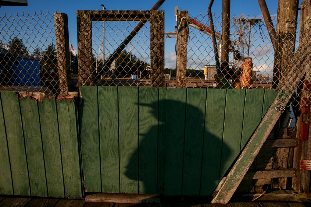A seafood worker who has lived in Pacific County for years is photographed on a recent evening on Willapa Bay. A relative was recently taken by immigration officers. (Erika Schultz / The Seattle Times)