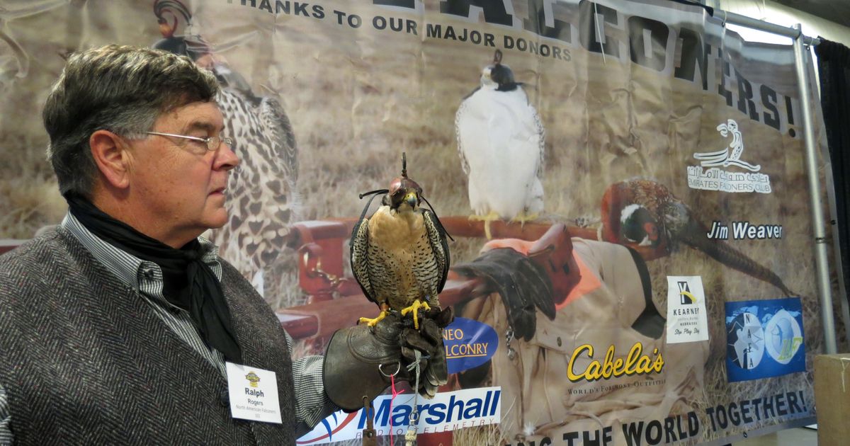 Falconers ask Nebraska landowners to allow birds in the area | The ...
