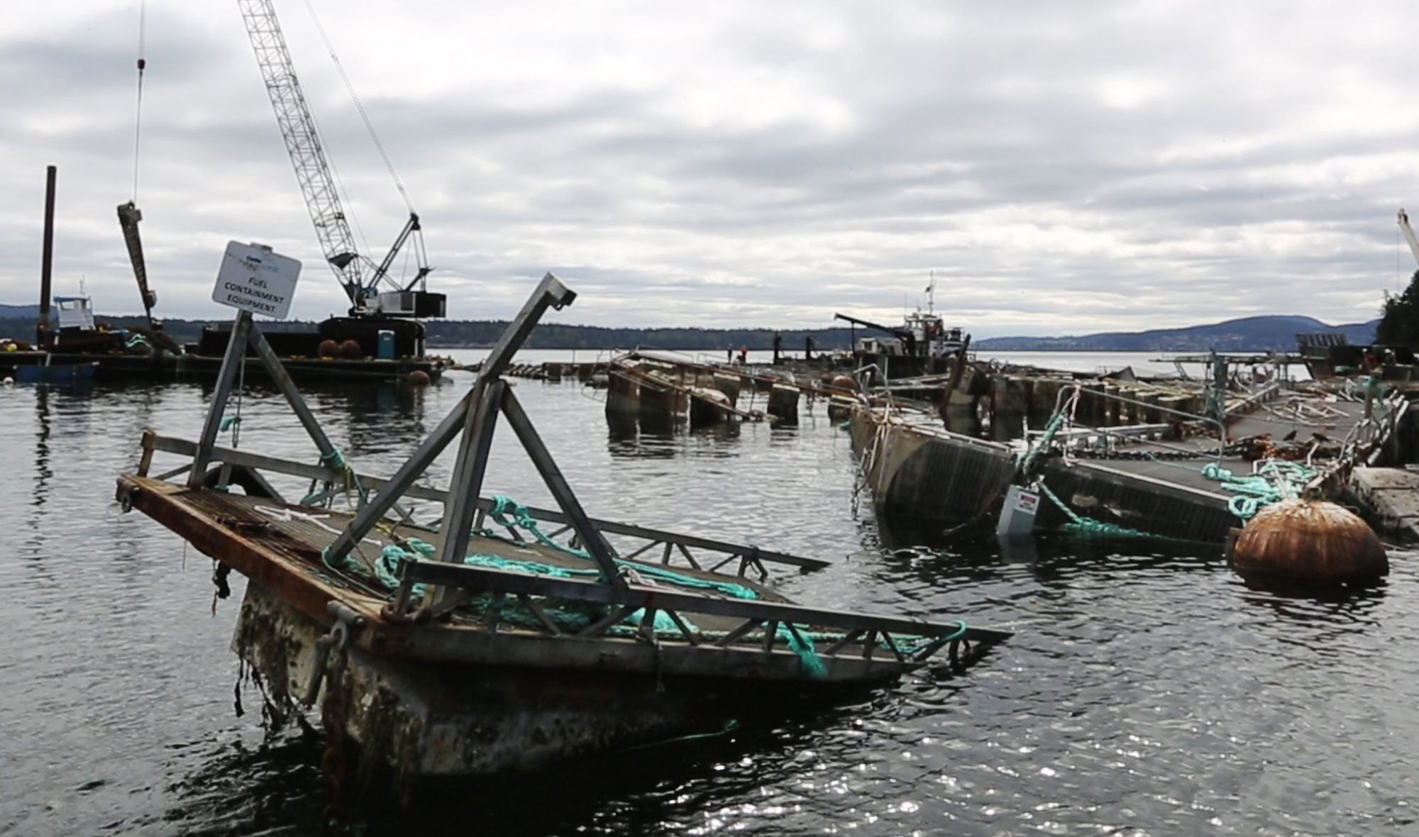 Atlantic salmon net pen's Puget Sound collapse wasn't first