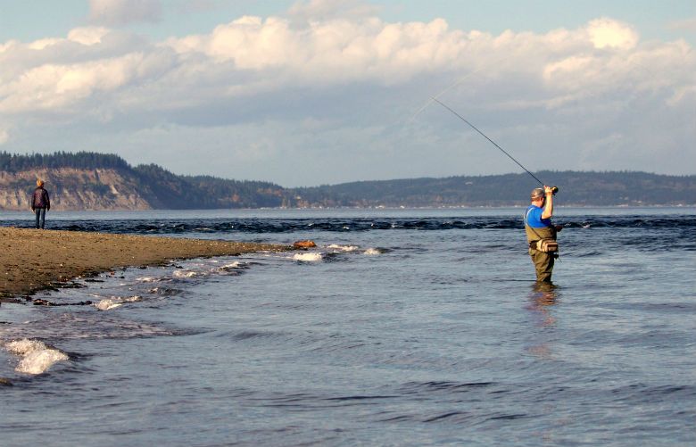Shore fishing Puget Sound and Hood Canal for 'harvest trout,' aka cutthroat