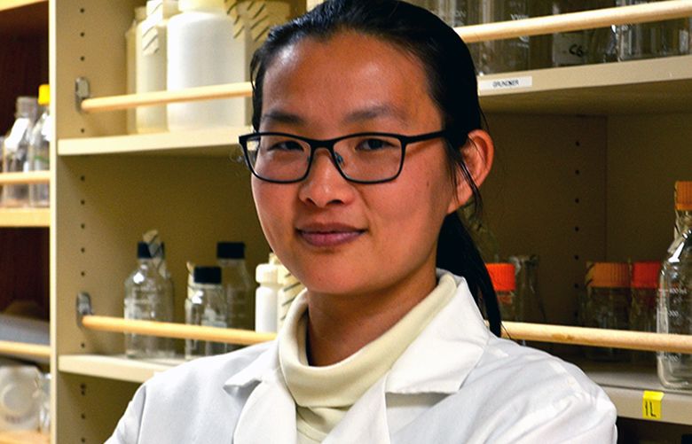 Shuyi Ma’s cool job fighting TB in Seattle | The Seattle Times