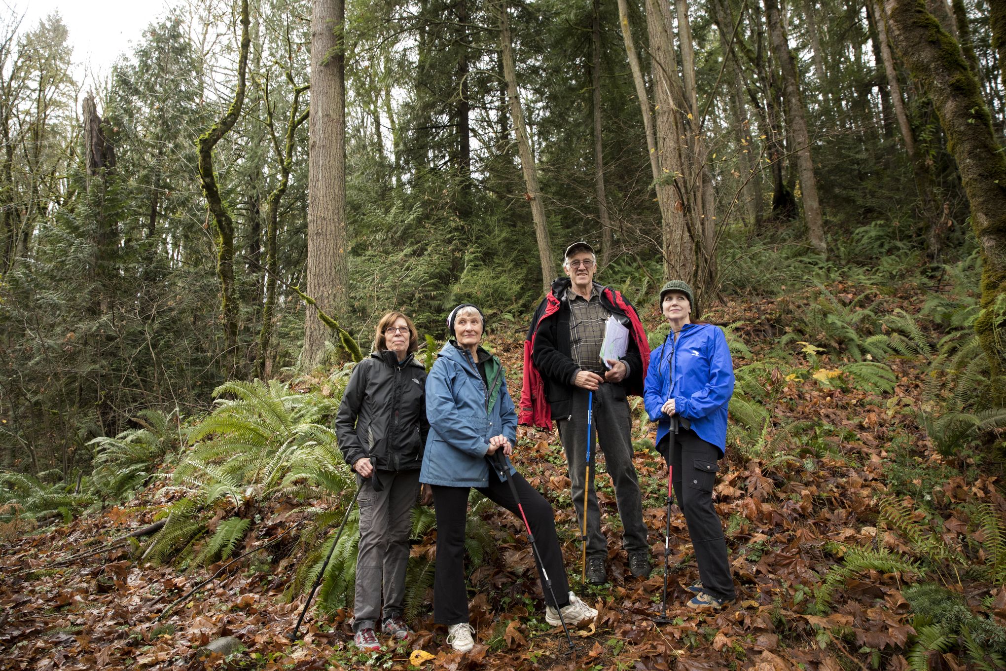 Hillside Park Improvements  Issaquah, WA - Official Website