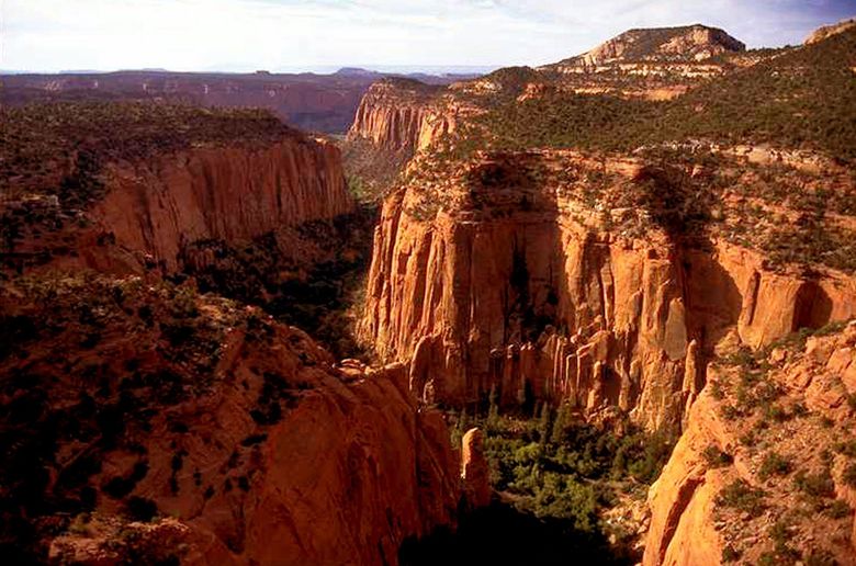 are dogs allowed at grand staircase nationall park