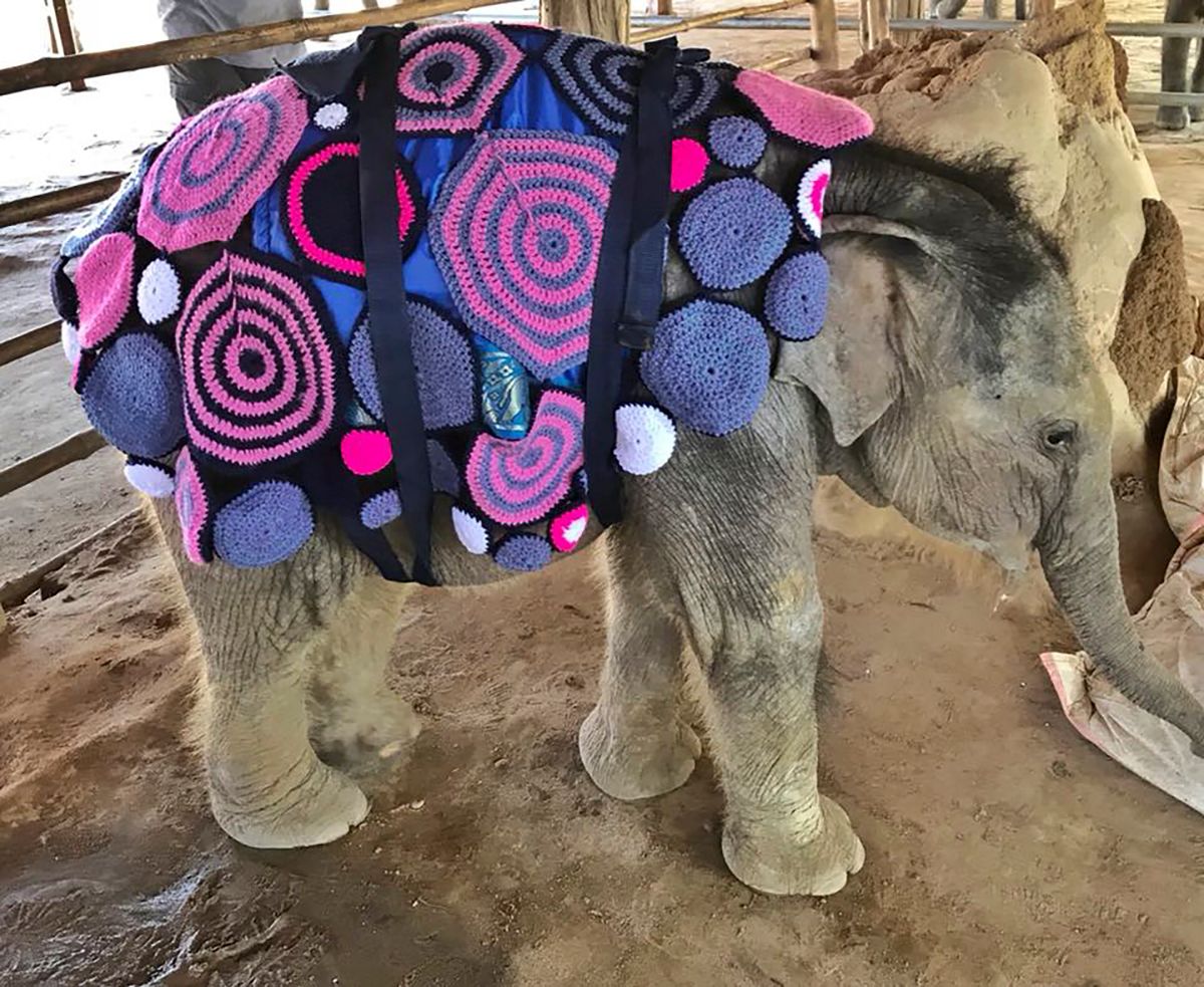 Knitted 2025 elephant blanket