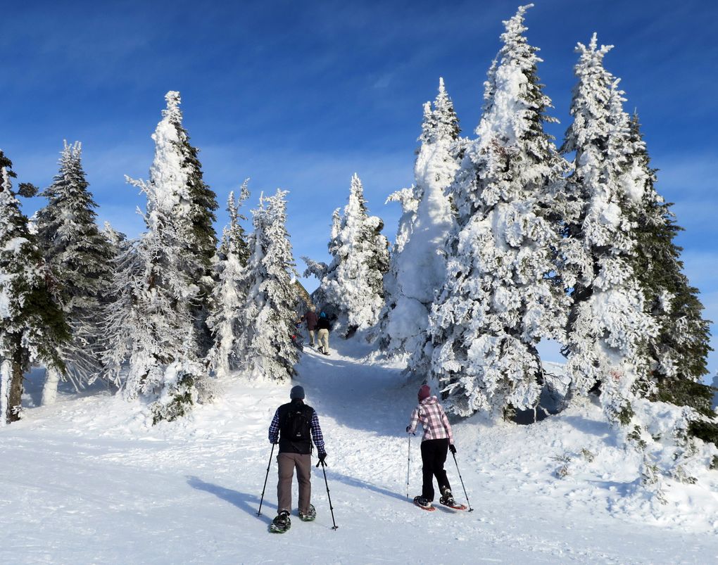 Snowshoers near the top of Mount Spokane, headed for the Vista House lodge. (John Nelson)