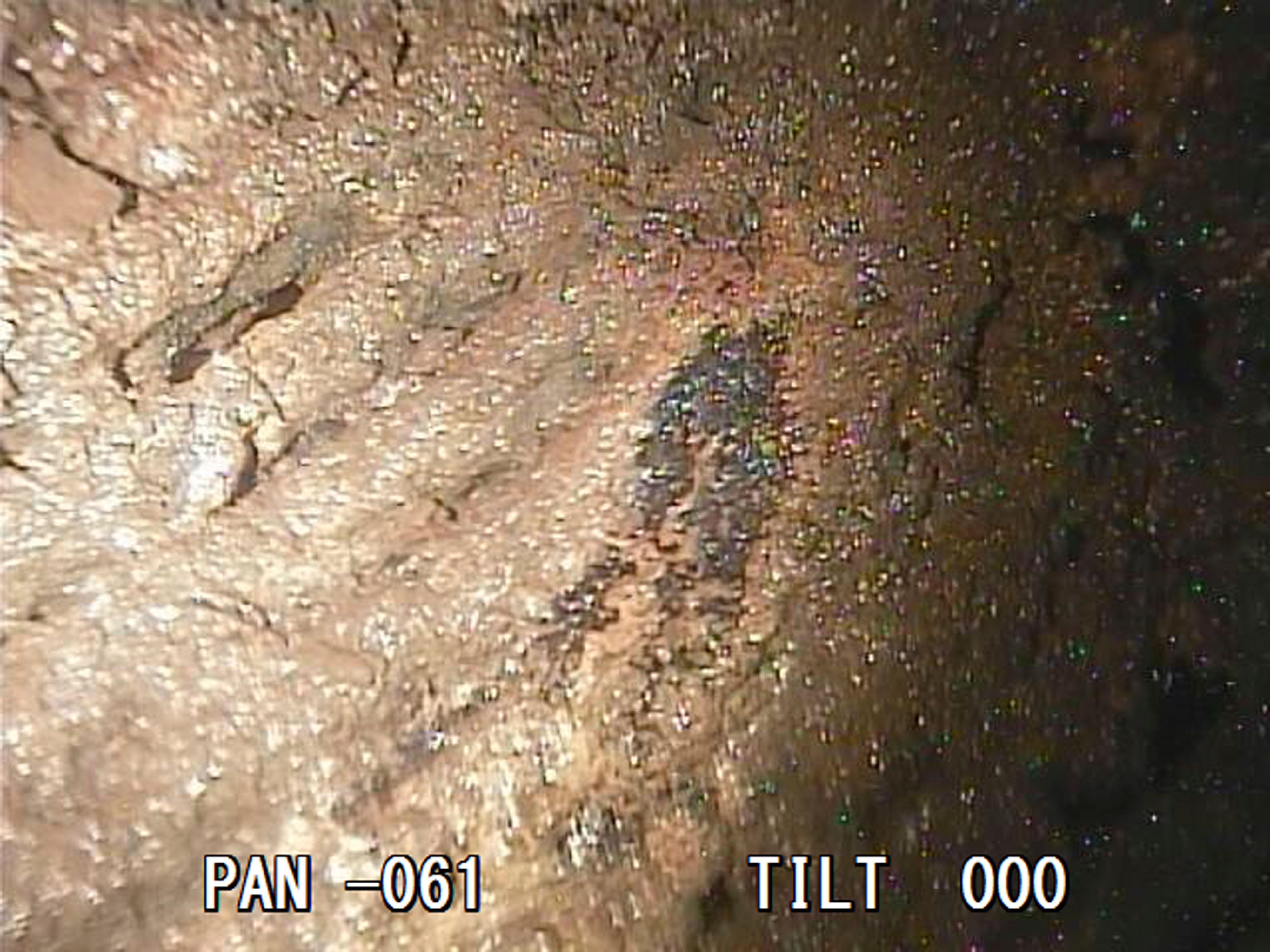 Melted nuclear fuel seen inside second Fukushima reactor