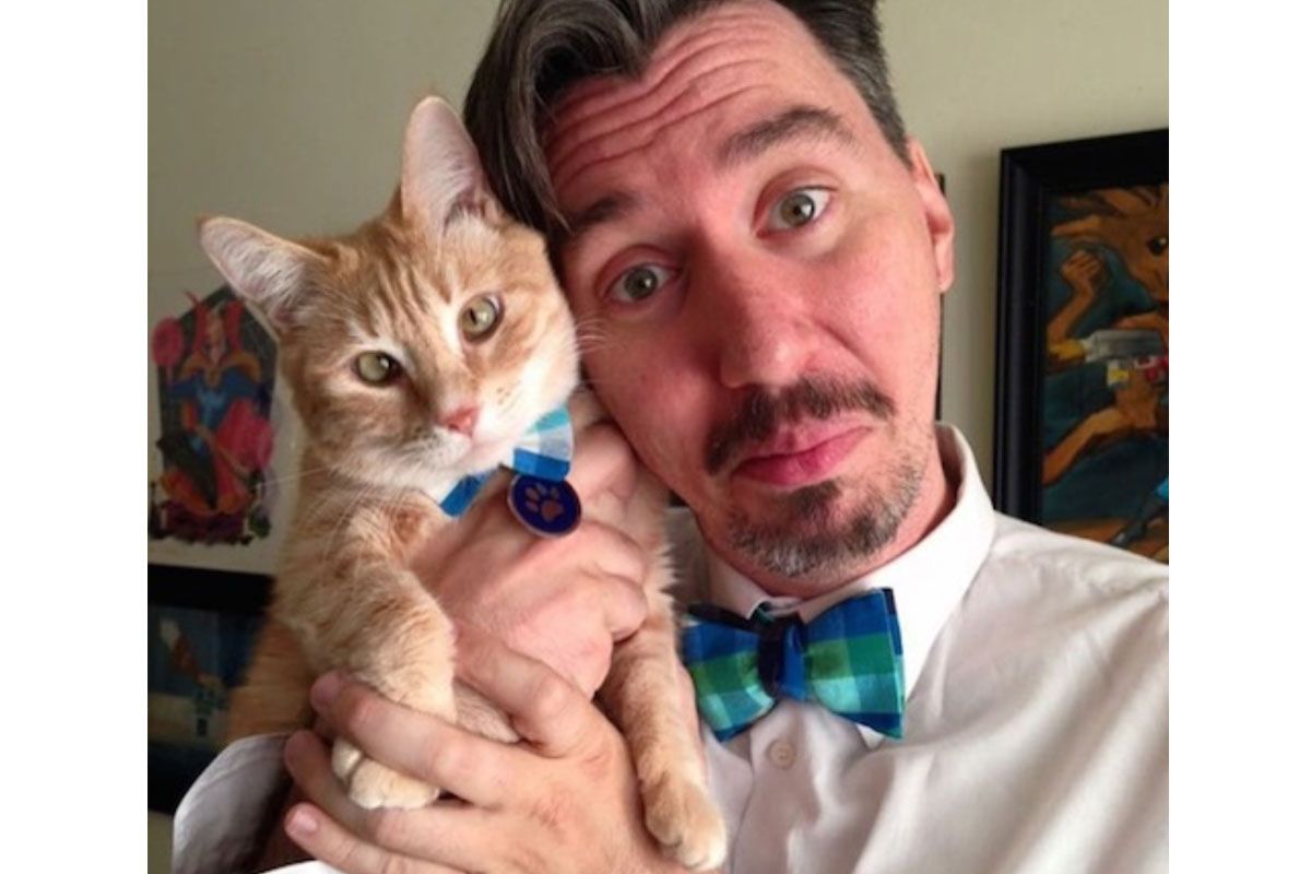 cat with necktie