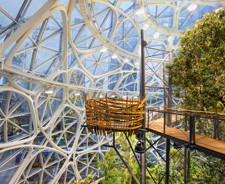 A “bird cage” is attached to the walkway winding through the leafy canopy of a fig tree in the Amazon Spheres. The eye-catching structures open next week.  (Steve Ringman/The Seattle Times)
