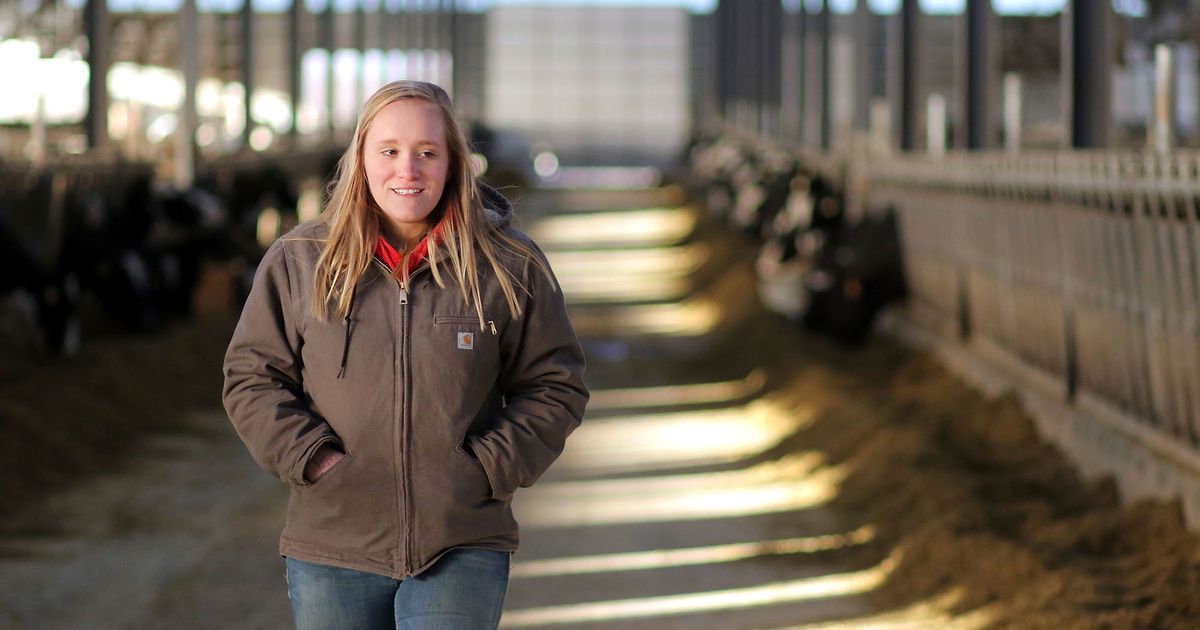 More women entering dairy industry in Wisconsin The Seattle Times