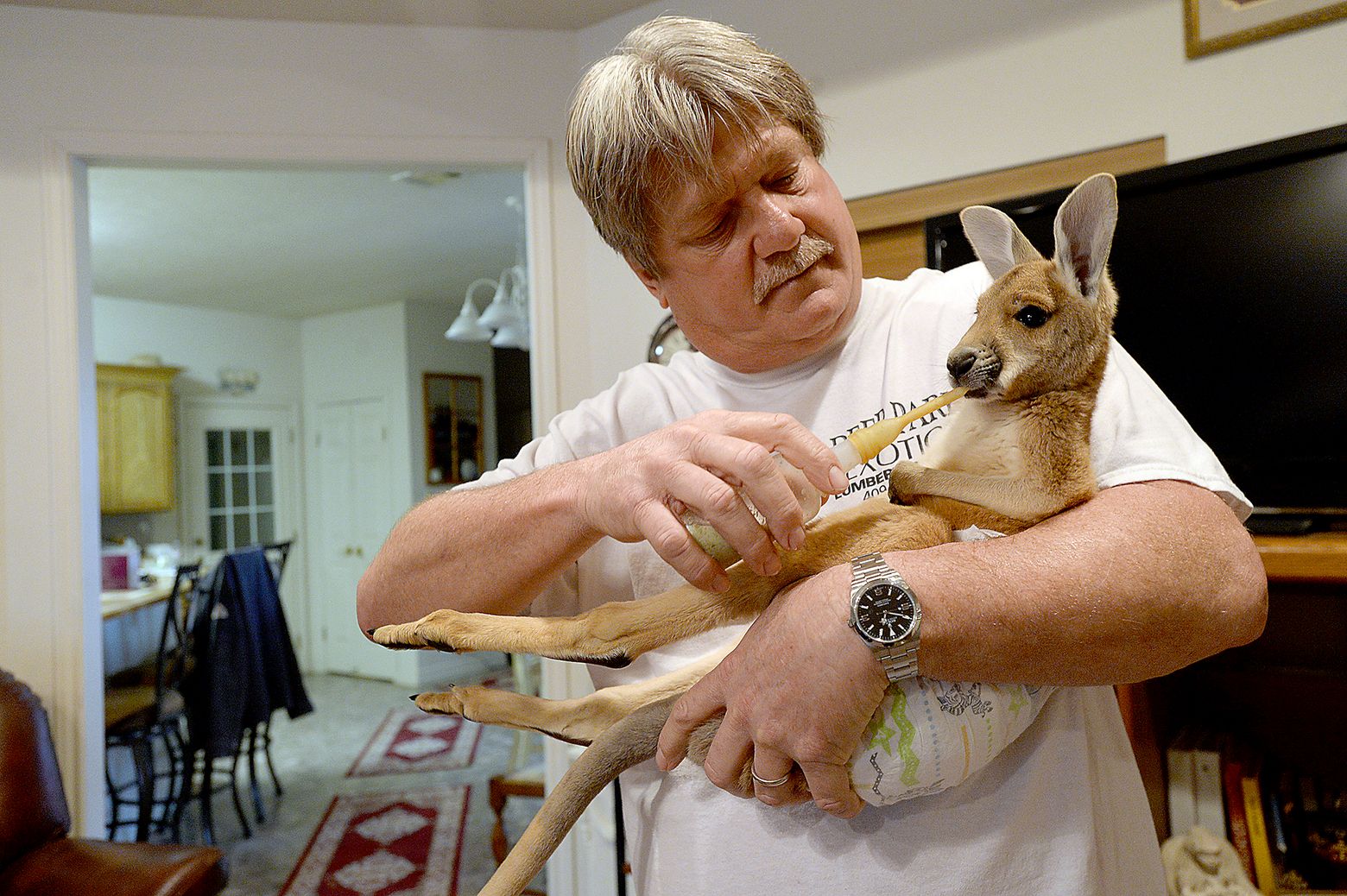  Doo Doo Kangaroo Game. Feed Him Until He's Gotta Go