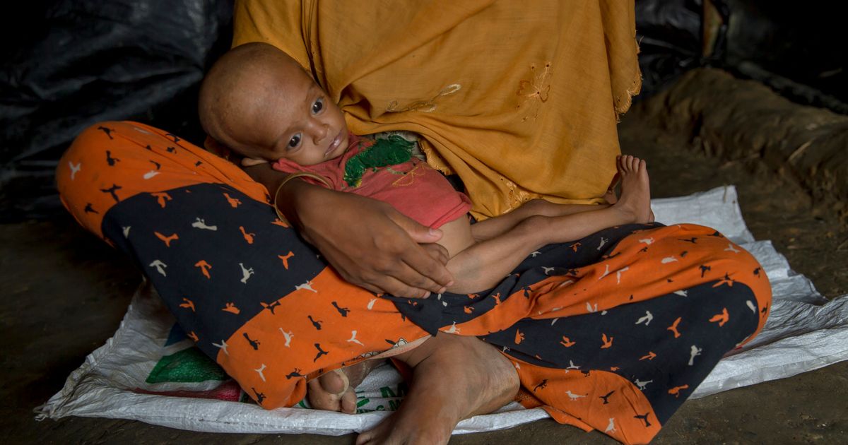 AP Exclusive Rohingya say military cut off food in Myanmar The