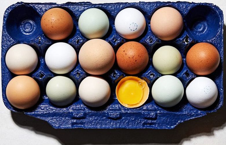 So many cartons, so little time A guide to grocery store eggs The